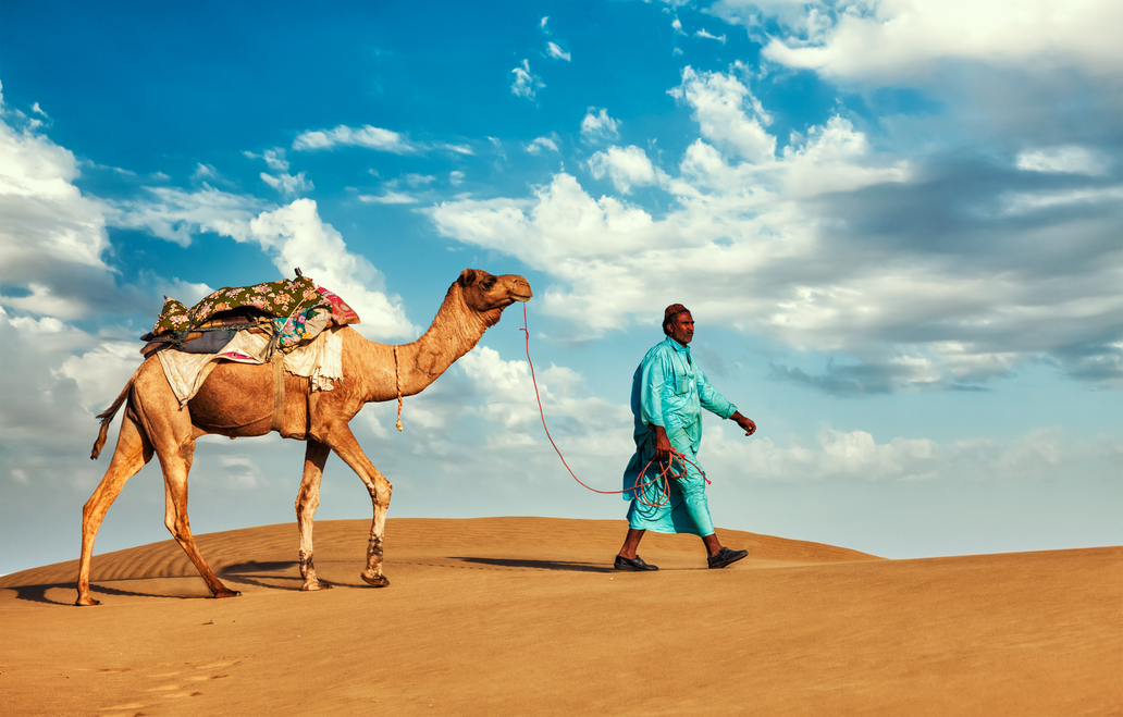 Ingimage | Stock Image Details: INH_19049_04829 - Rajasthan travel  background - Indian cameleer (camel driver) with camels in dunes of Thar  desert. Jaisalmer, Rajasthan, India. Cameleer camel driver with camels in  Rajasthan, India